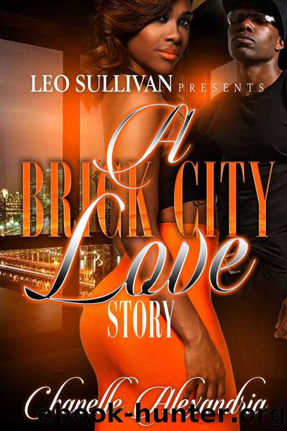 brick city book